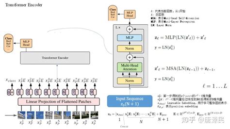 imagenet sota|Transformers for Image Recognition at Scale .